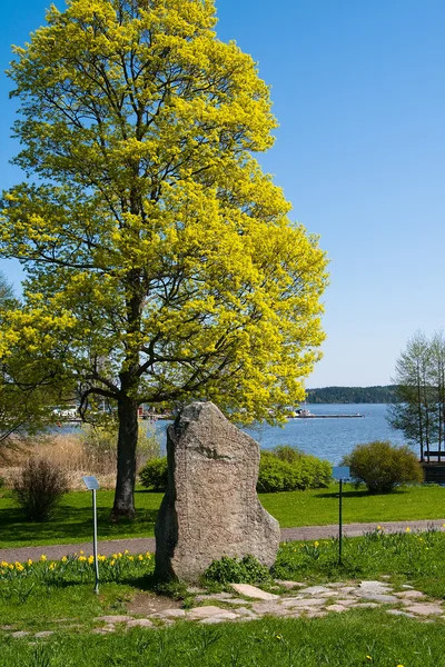 Rune stone. Gripsholm Castle, Marifred, Sweden. — Stock Photo, Image