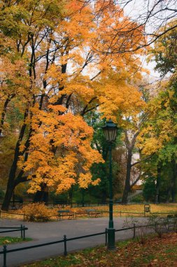 Autumn Landscape with a lantern clipart