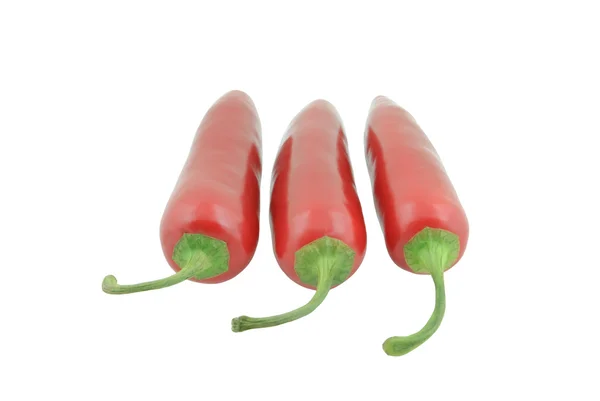 Üç kırmızı jalapenos - drei ezbere dayalı jalapenos — Stok fotoğraf