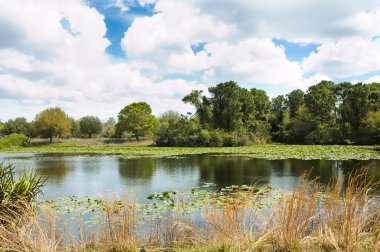 Walsingham park florida su birikintisi sahne