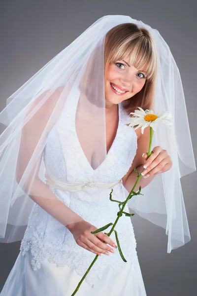 stock image Happy young bride with a chamomille in studio