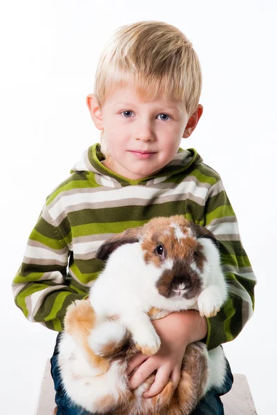 Menino segurando um coelho isolado no fundo branco — Fotografia de Stock