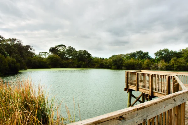 stock image Eagle Lake Clearwater Florida