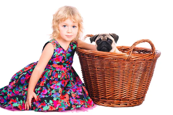 Απομονωμένες πορτρέτο του μικρό κορίτσι αγκαλιάζει σκυλί σε άσπρο φόντο — Φωτογραφία Αρχείου