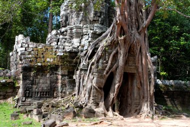 ta som Tapınağı. Angkor Kamboçya