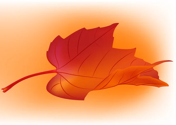 秋の葉 — ストックベクタ