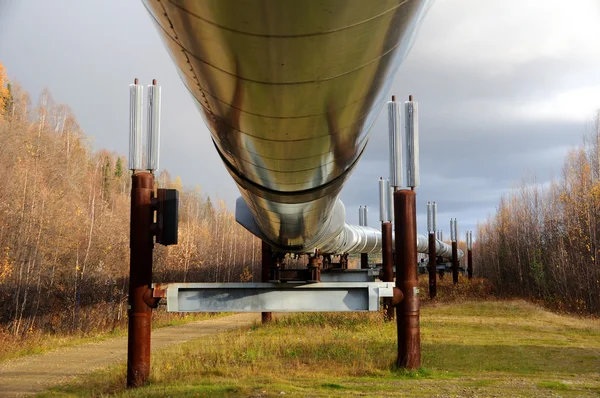 秋に trans アラスカ石油パイプライン — ストック写真