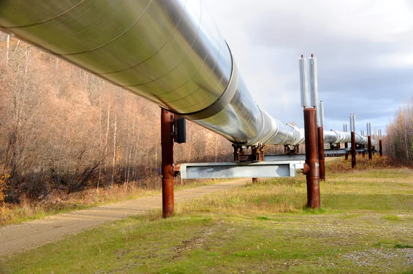 Трансаляскинский нефтепровод — стоковое фото