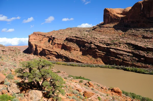 Moab RIM hiking — Stok fotoğraf