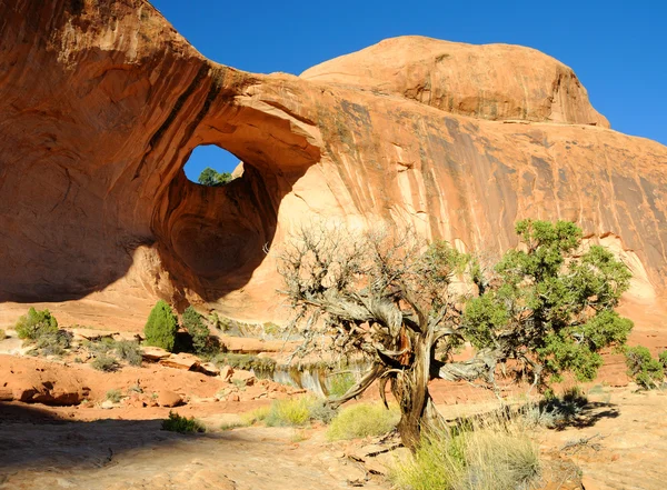Bowtie boog in de buurt van moab — Stockfoto