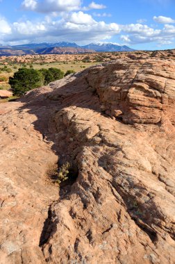 Sand Flats Recreation Area with La Sal Mountains in Background clipart