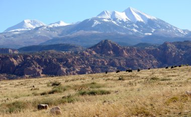Moab Ranch with view of La Sal Mountains clipart