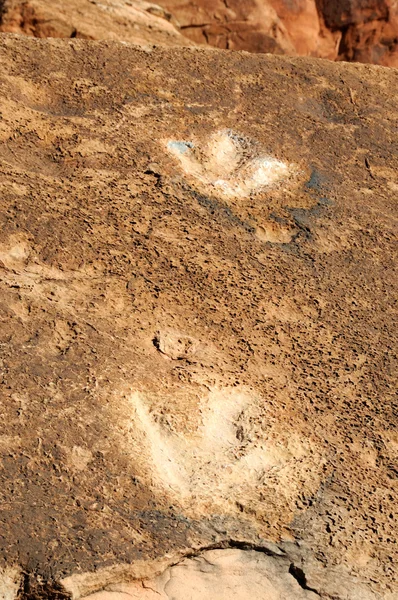 stock image Dinosaur Tracks on Potash Highway, Moab