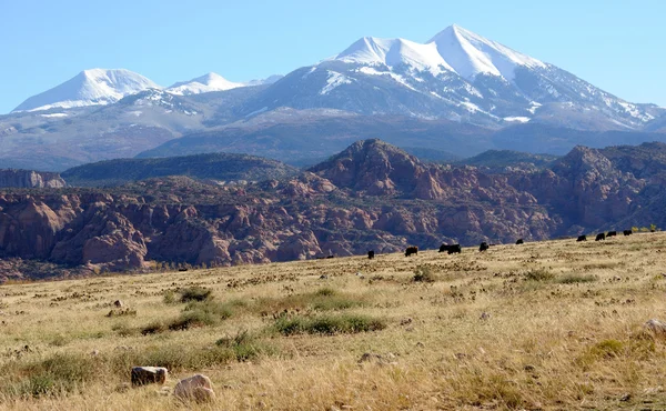 Moab Ranch mit Blick auf die Sal-Berge — Stockfoto