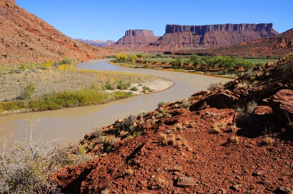 砂漠リゾートの近くにコロラド川を蛇行します。 — ストック写真