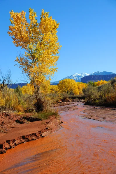 Pustynia strumień jesienią z snowy gór — Zdjęcie stockowe