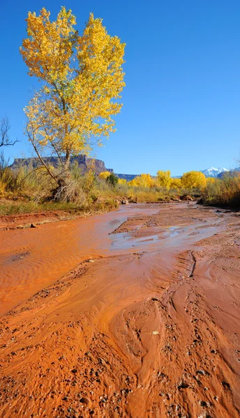 Desert Stream en automne avec des montagnes enneigées — Photo