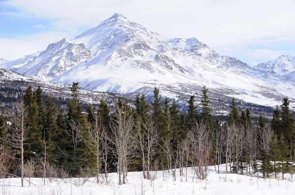 Gipfel im Alaska-Gebirge im Frühjahr — Stockfoto