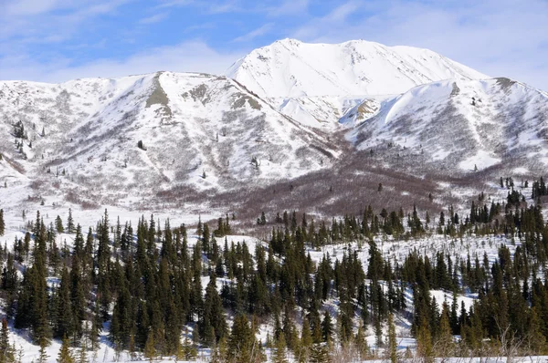 Montaña en Alaska Cordillera en primavera —  Fotos de Stock