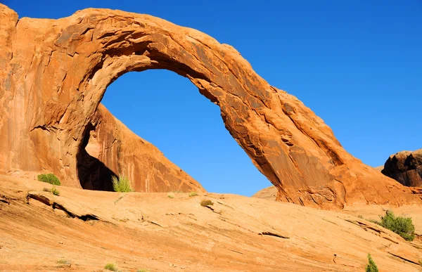 Corona Arch i södra Utah Royaltyfria Stockfoton