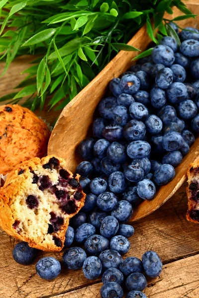 Muffin e frutta — Foto Stock