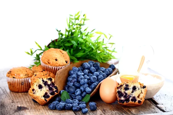 Blaubeeren und Muffins — Stockfoto
