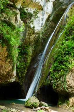 Waterfall bear (Molina/Fumane/Verona/Italy) clipart