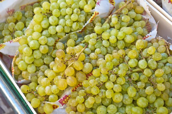 Grapevine — Fotografie, imagine de stoc