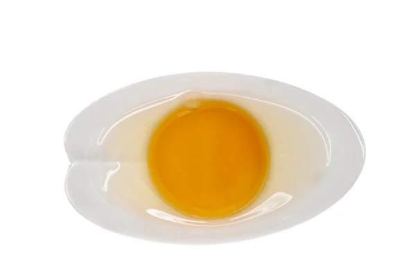 Egg in a bowl — Stock Photo, Image