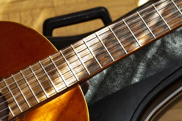 Guitarra con estuche —  Fotos de Stock