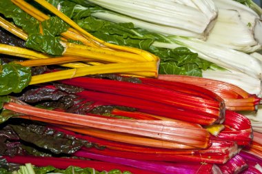 Chard with different colors clipart