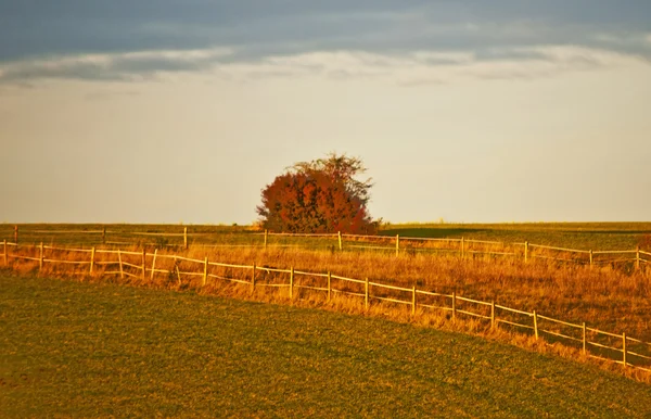 Herbstwiese — Stockfoto