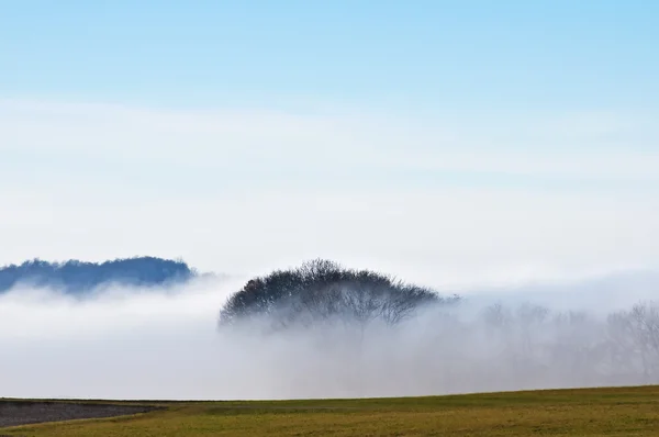 Descending fog in autumn — Stock Photo, Image