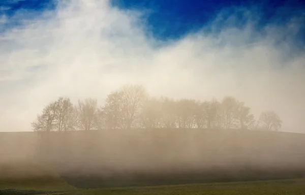 Leszálló köd, őszi — Stock Fotó