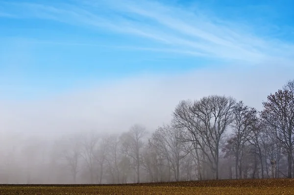 Nebel im Herbst — Stockfoto