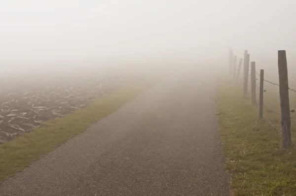 stock image Descending fog in autumn