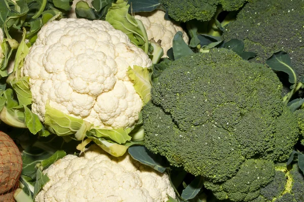 Caulifllower och broccoli — Stockfoto