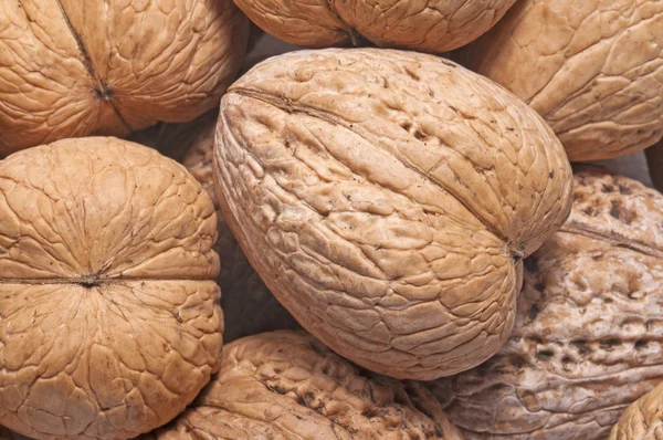 Close-up of walnuts. — Stock Photo, Image