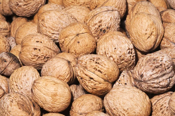 New harvest walnuts — Stock Photo, Image