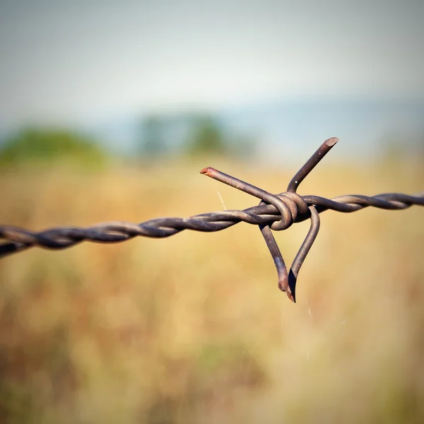 stock image Barbed wire fragment.