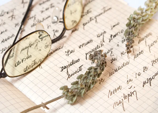 Old handwritten recipes and dried basil — Stock Photo, Image