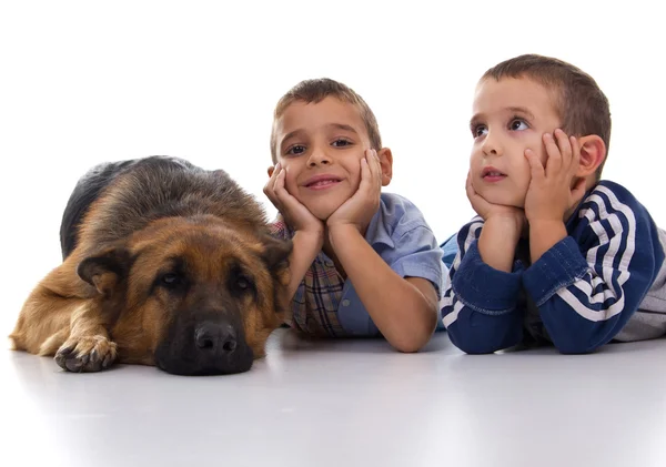 Two brothers with German Shepherd — Stock Photo, Image
