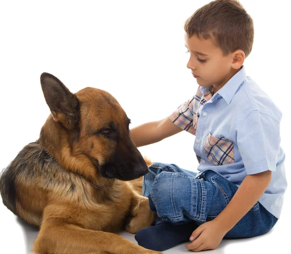Mały chłopiec z big dog — Zdjęcie stockowe