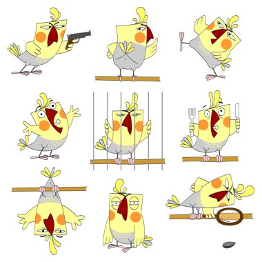 Funny parrot clipart