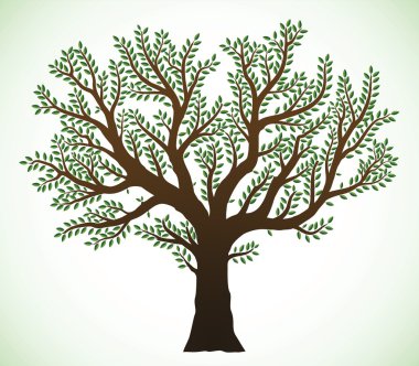 Tree illustration clipart