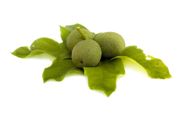 Green walnuts isolated — Stock Photo, Image