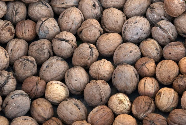 Texture walnut — Stock Photo, Image