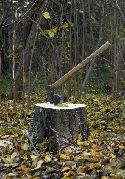斧、 树桩 — 图库照片