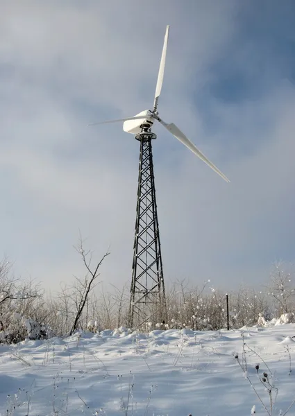 Turbina eólica na floresta — Fotografia de Stock