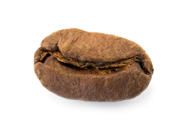 Grain of coffee — Stock Photo, Image